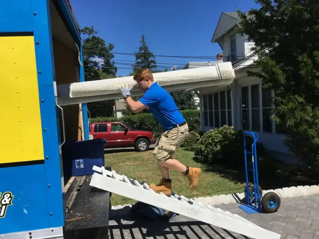 Carpet Removal 101